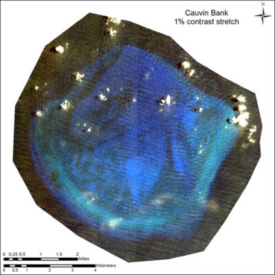 Satellite image of Cauvin Bank with Contrast Stretching