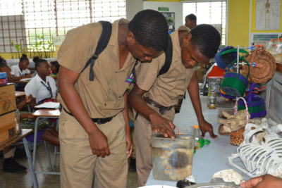 Jamaican high school students taking a closer look at sea urchin and anemone