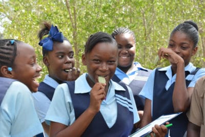 Jamaican high school students taste a mangrove leaf - they're salty!