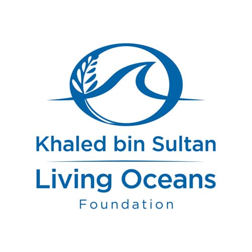 KSLOF Coral Reef Education: Free Environmental Conditions ...