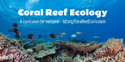 New Coral Reef Ecology Curriculum