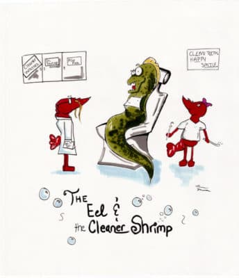 Third Place: Morgan Hermann, Age 17, New York, USA; The Eel and the Cleaner Shrimp