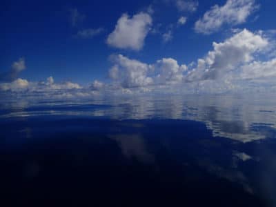Calm seas in BIOT as we head out to our dive site