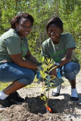 Jamaican high school students restoring mangrove propagules to their natural environment