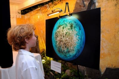 French Polynesia Photo Exhibit