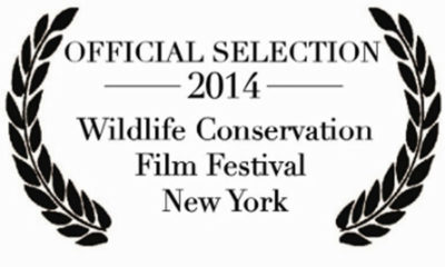 Official Selection Blue Bahr Film Festival