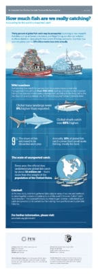 Accounting for the world's unreported fish catch - The Missing Fish