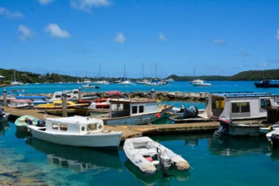 Tongan fishing boats