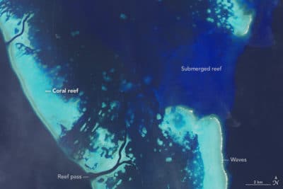 Palau's Coral Reefs satellite image