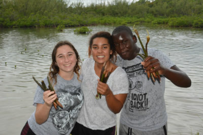 Bahamian students at Forest Heights Academy hold up the red mangrove propagules that they collected during the field trip