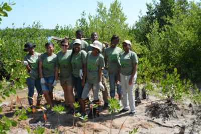 Students swarm around Fulvia for a photo in the midst of planting mangrove trees.