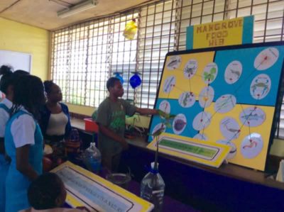 Marsden teaching about mangrove food webs.