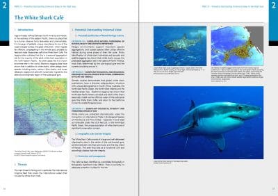 High Seas Protection for the White Shark Cafe