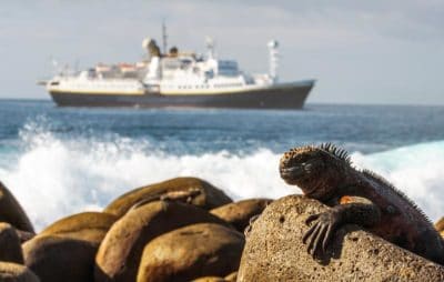 Charting The Galapagos