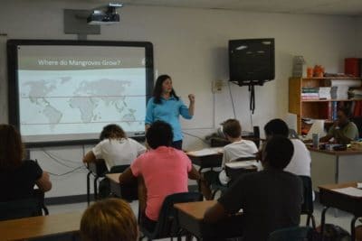 Students listen to Amy's mangrove introduction.