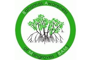 BAM Year-2: Bahamas Awareness of Mangroves