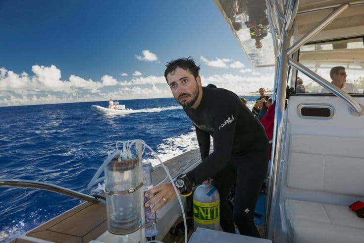 Scientist at work ©Michele Westmorland/iLCP