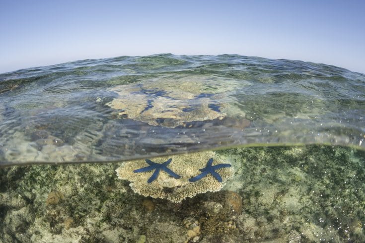 Great Barrier Reef (c)Jurgen Freund/iLCP