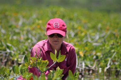 Ryann Rossi, PhD Candidate, NC State University