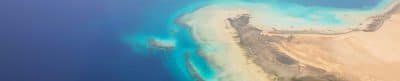 Red Sea Coral Reef Biodiversity