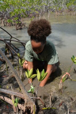 Students in the Year 1 B.A.M. and J.A.M.I.N. programs plant their mangrove seedlings.
