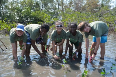 Students in the Year 1 B.A.M. and J.A.M.I.N. programs plant their mangrove seedlings.