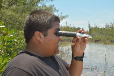 Students in the Year 2 B.A.M. and J.A.M.I.N. programs use scientific instruments to measure various abiotic factors in the mangroves. 