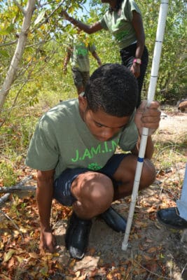 Students in the Year 2 B.A.M. and J.A.M.I.N. programs use scientific instruments to measure various abiotic factors in the mangroves. 