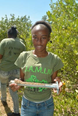 Students in the Year 2 B.A.M. and J.A.M.I.N. programs use scientific instruments to measure various abiotic factors in the mangroves. 