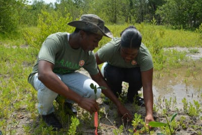 Students in the Year 1 B.A.M. and J.A.M.I.N. programs plant their mangrove seedlings.