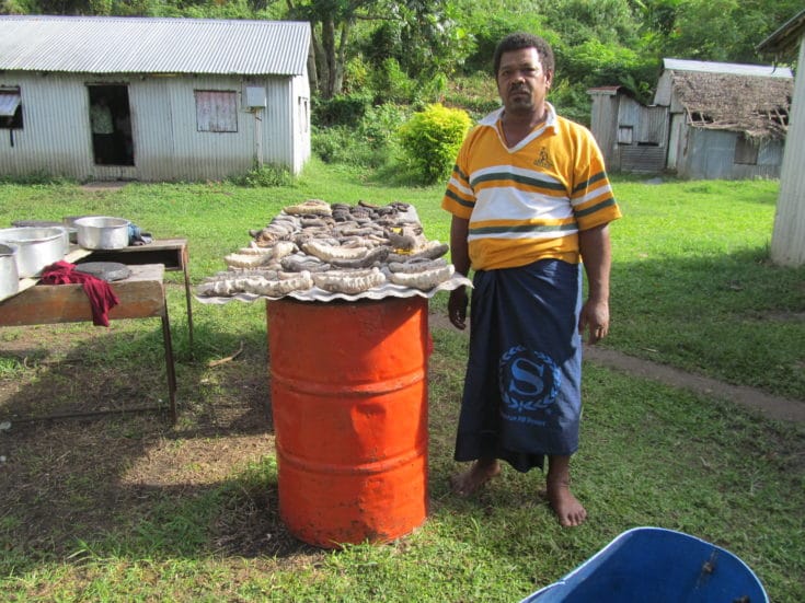 Sea cucumbers removed from the reef dry out before being exported.