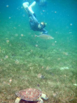 Maggie Dillon snorkeling