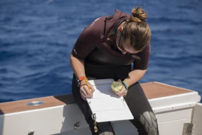 Alex Dempsey Coral Reef Ecologist and staff of the Khaled bin Sultan Living Oceans Foundation writing down here data in between dives during a surface interval break.