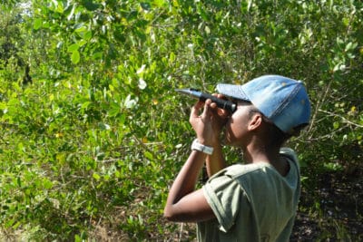 B.A.M. and J.A.M.I.N. – Image 2 - Students from William Knibb High School use scientific tools to measure various non-living factors in their mangrove quadrats. 