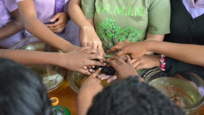 Intern Maggie Dillon - Photo 1 - Students at St. Hilda's High school reach in to gently touch the slimy skin of a sea cucumber.