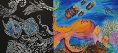 Science Without Borders® Challenge 2018 High School Semi-Finalists