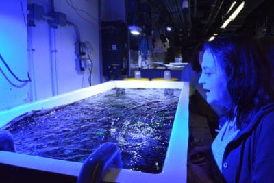 2018 Corals in the Classroom Teacher Workshop