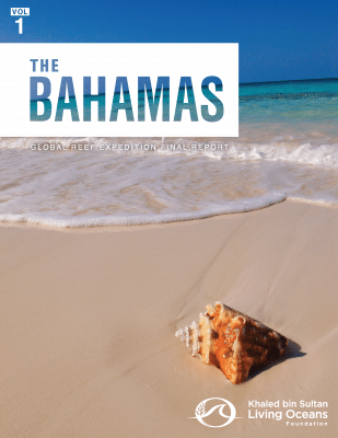 Global Reef Expedition: Bahamas Final Report