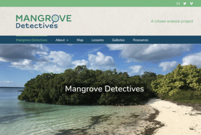 Mangrove Detectives