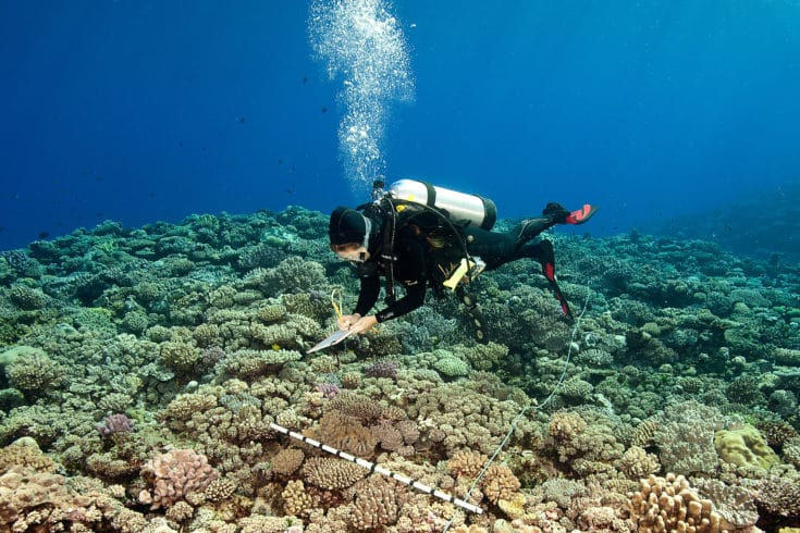 A scientist on the GRE conducts a benthic survey