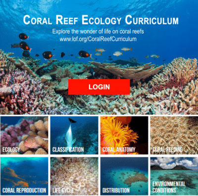 Coral Reef Ecology Curriculum