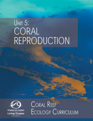 Resolução CONABIO no. 5 de 2009 by Projeto Coral-Sol - Issuu