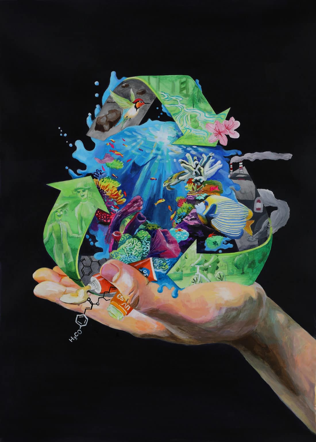 Winners of the 2020 Science Without Borders® Challenge Living Oceans