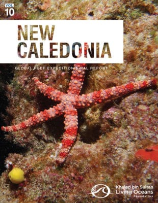 Report on New Caledonia's coral reefs
