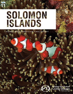 Solomon Islands Final Report Cover