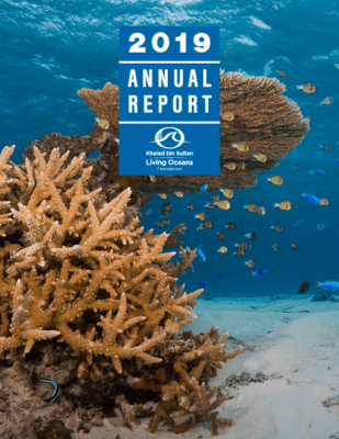 2019 Annual Report