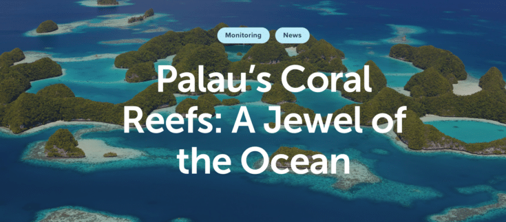 Palau Coral Reef ICRI