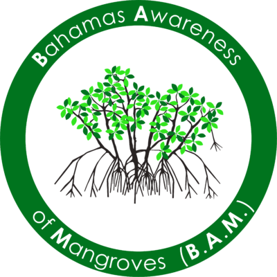 BAM Mangrove Logo
