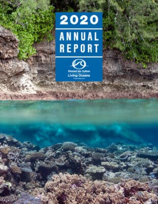 KSLOF 2020 Annual Report Cover