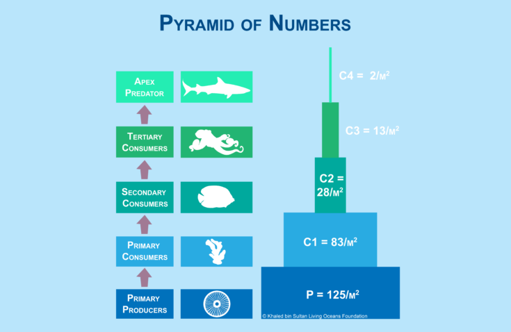 Figure 16-11